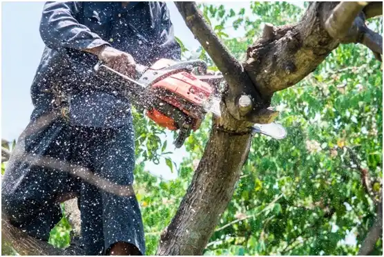 tree services Henning